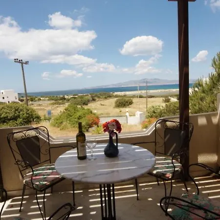 Pirgos Naxos Apartment Aliko Beach Room photo